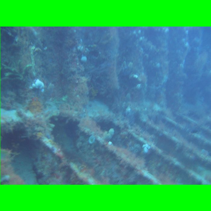 Dive WP Wrecks 25-Oct-09_391.JPG